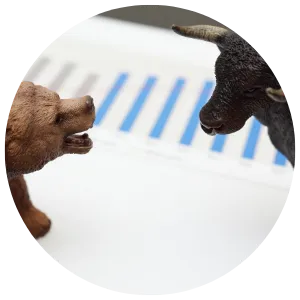 Bear-Bull-Image